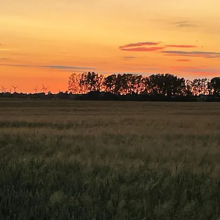 Przystanek *